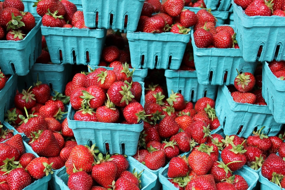 Major Savings Are Awaiting You At The Farmer's Market -- Here's How
