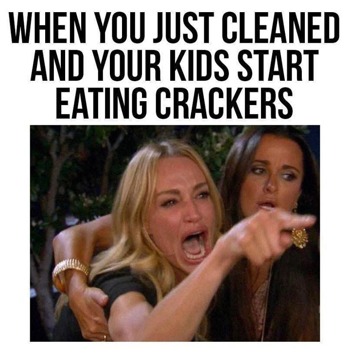 WHEN YOU JUST CLEANED AND YOUR KIDS START EATING CRACKERS at The web's...