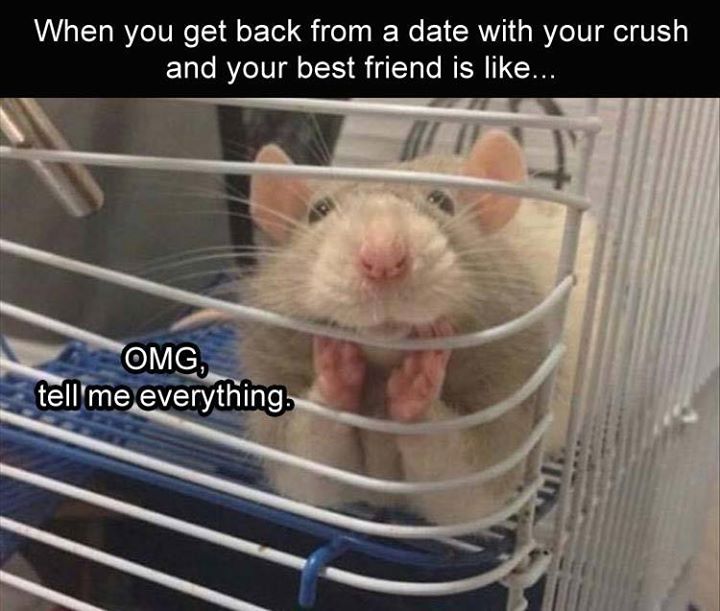 WHEN YOU GET BACK FROM A DATE WITH YOUR CRUSH AND YOUR BEST 