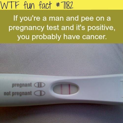 IF YOURE A MAN AND PEE ON A PREGNANCY TEST AND ITS POSITIV ...