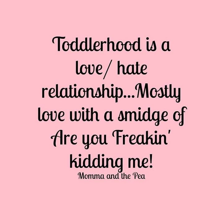 TODDLERHOOD IS A LOVE / HATE RELATIONSHIP...MOSTLY LOVE WITH ...
